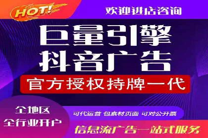 行业领先SEM托管代运营案例